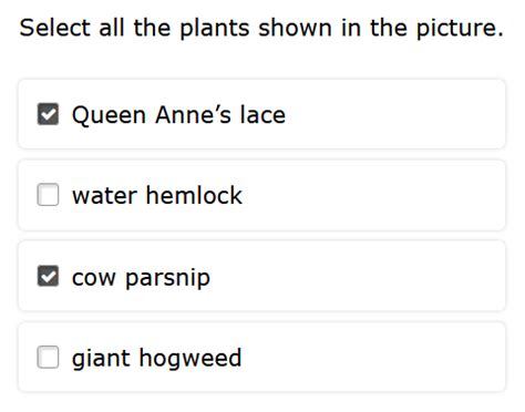 Multiple Select Vector に対する画像結果