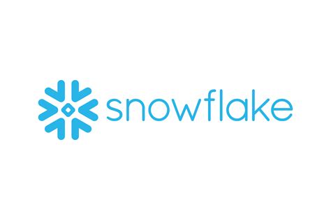 Image result for Snowflake Inc. Review