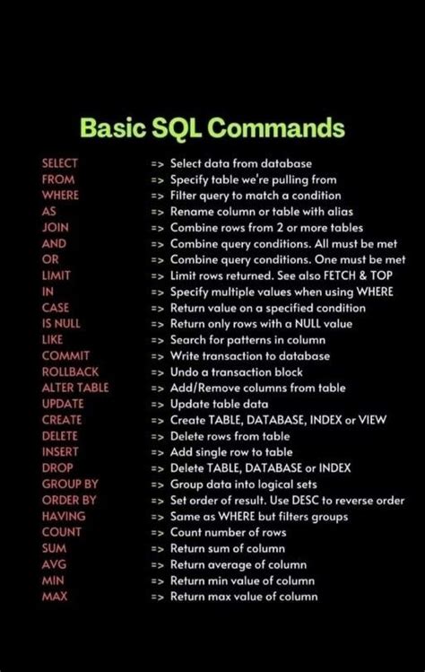 Basic Programming Commands に対する画像結果