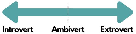 Image result for Ambivert Definition