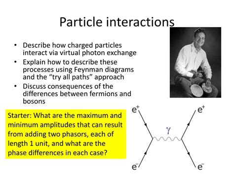 Image result for Tree Structure of Particle Physics