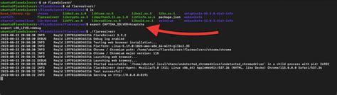 Image result for Flaresolverr API URL