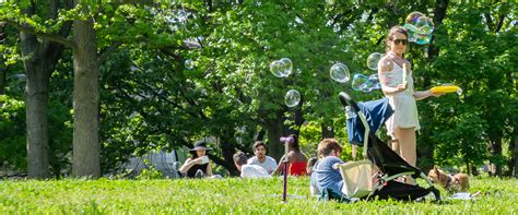 Image result for Back to Normal Fun