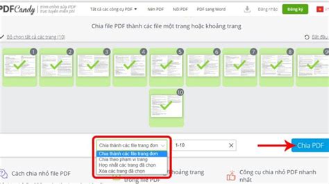 Cat File.pdf に対する画像結果