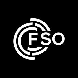 Image result for Vektor FSO