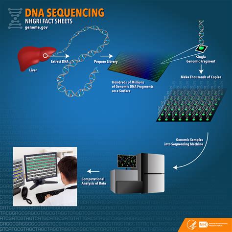 DNA Sequencing Steps に対する画像結果