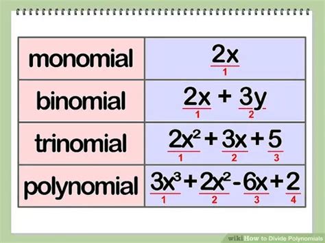 Image result for Best Example of Polynomial in One Variable