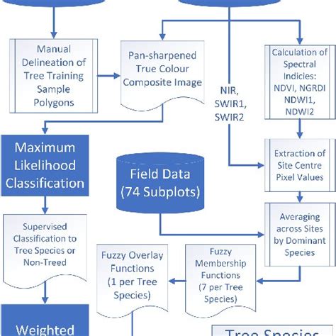 Image result for Suggest a Workflow Diagram for Classification Model