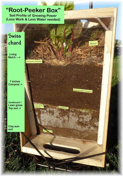 Image result for Root Box