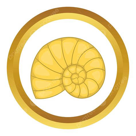 Image result for Shell Icon Transparent PNG