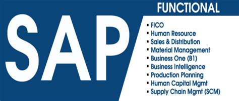 Image result for SAP Software Course Fees