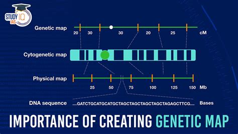 Image result for Simple Genetic Map