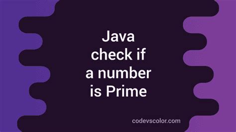Image result for Source Code of Check Prime Number