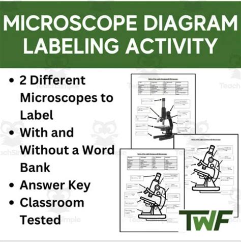 Image result for Microscope Diagram Worksheet