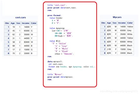 Toradh íomhá ar SAS Format Statement Example
