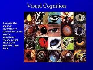 Image result for Visual Cognition Examples