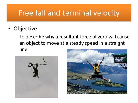 Free Fall Terminal Velocity Graph に対する画像結果