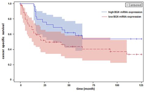 Image result for Bladder Cancer Life Expectancy