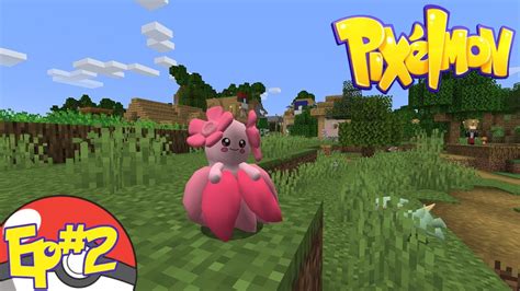 Image result for Odish Valencian Pink Pixelmon