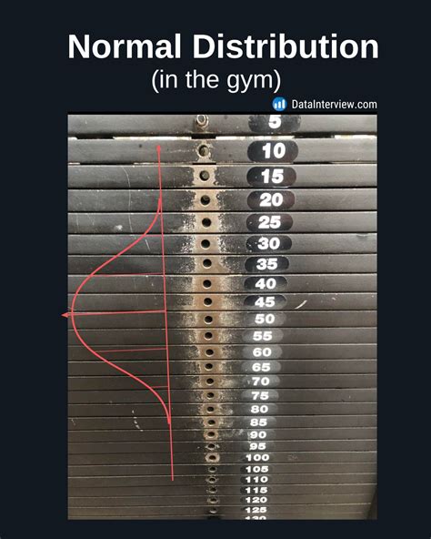 Image result for Normal Distribution in Gym