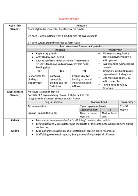 Image result for Myosin and Actin Filament Structure