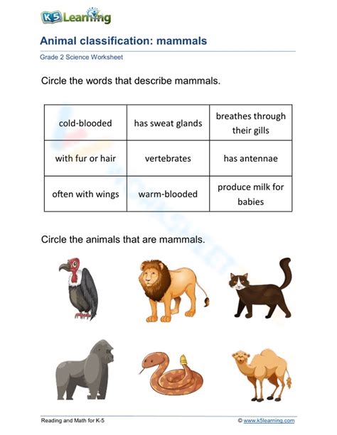 Image result for Classifying Animals Worksheet