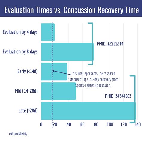 Toradh íomhá ar Mild Concusion Example
