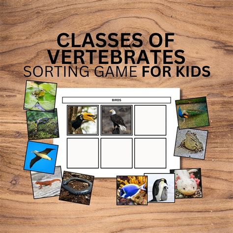 Vertebrates Classification Game に対する画像結果