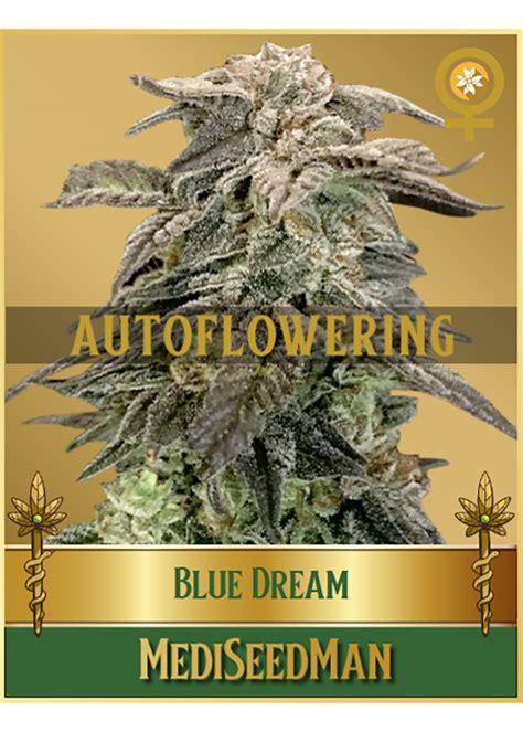 Afbeeldingsresultaten voor Autoflower Weed