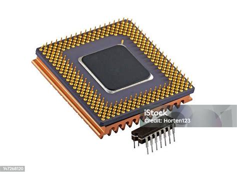 Image result for Microchip Evolution