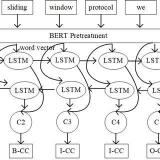Toradh íomhá ar Drawing a a Simple Functional Network Model