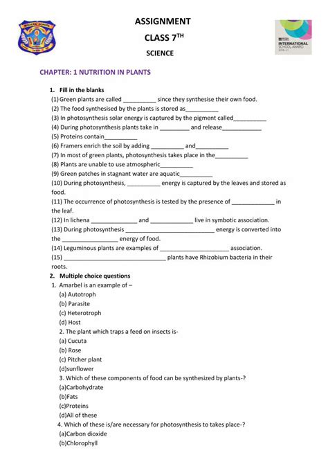 Toradh íomhá ar Assignment Class 7 Somag 2021