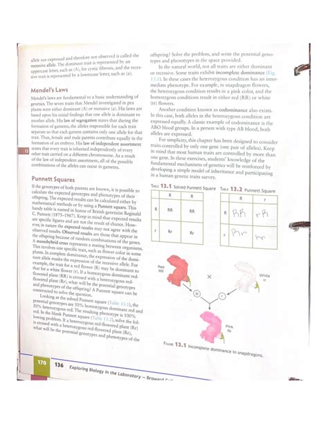 Basic Mendelian Genetics に対する画像結果