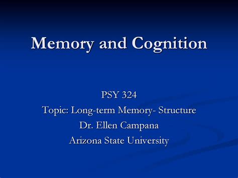 Image result for Long-Term Memory Structure