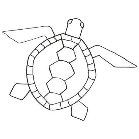 Turtle in Shell Drawing に対する画像結果