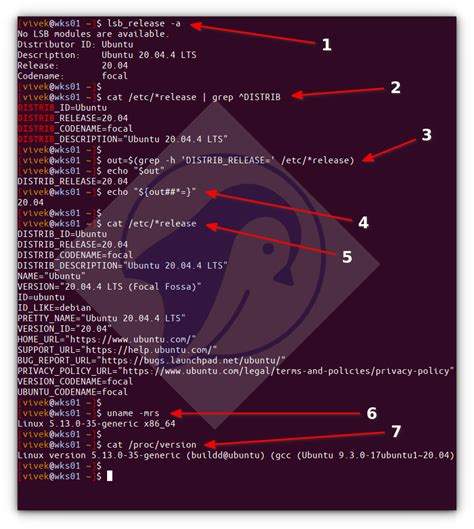 Image result for Linux Command Show Version
