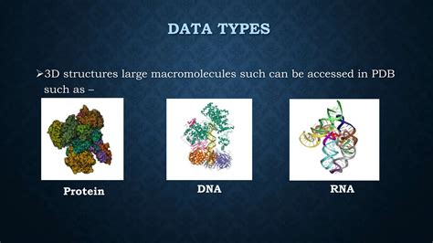 Image result for Protein Structure Database PPT