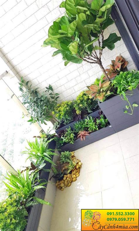 Logia Chung Cư に対する画像結果