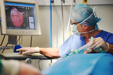 Image result for Cardiology Tech