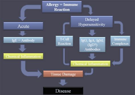 Image result for Delayed Allergic Reaction