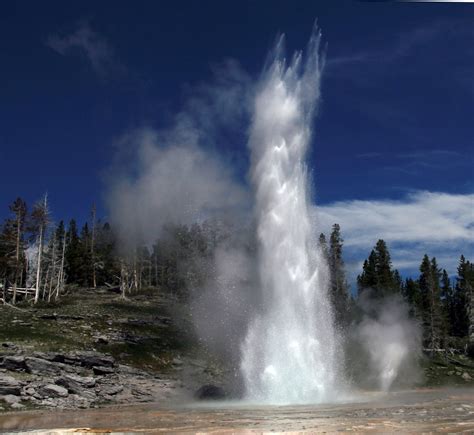 Image result for Geiser