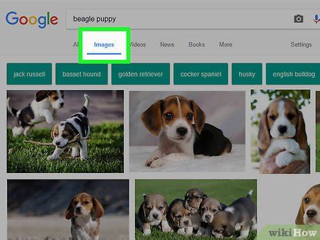 How to Save Images On Computer に対する画像結果