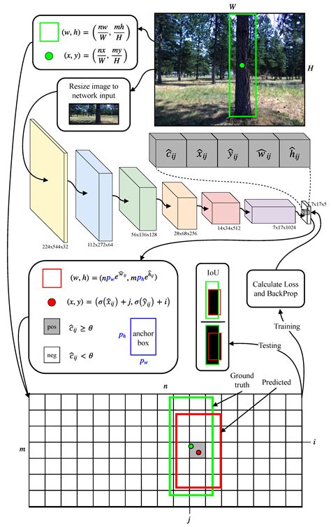 Image result for Computer Vision and Machine Learning Vegetation Management