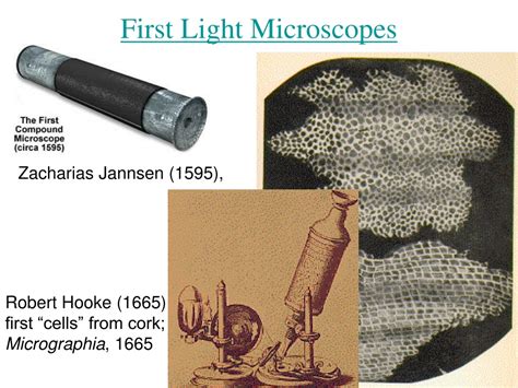 Image result for Very First Light Microscope
