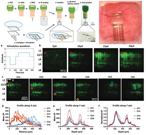 Image result for Microprism Array Imaging