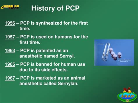 Image result for PCP Effects On the Nervous System