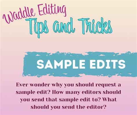 Program Edit Sample に対する画像結果