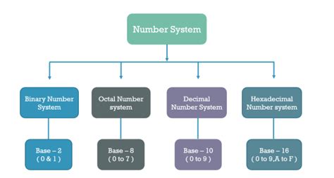 Image result for The Basic Number System
