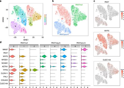 Afbeeldingsresultaten voor Transcriptomics Figure