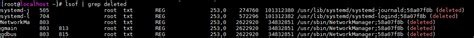 Toradh íomhá ar Lsof Command in Linux to See Deleted Files Size